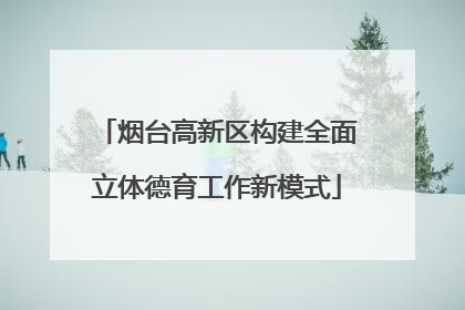 烟台高新区构建全面立体德育工作新模式