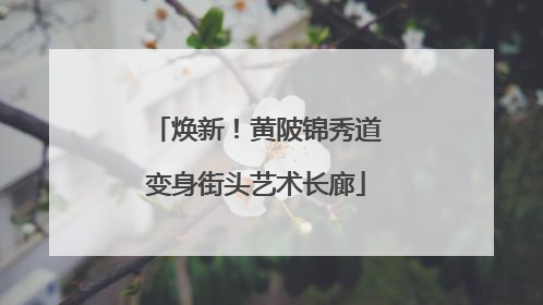 焕新！黄陂锦秀道变身街头艺术长廊