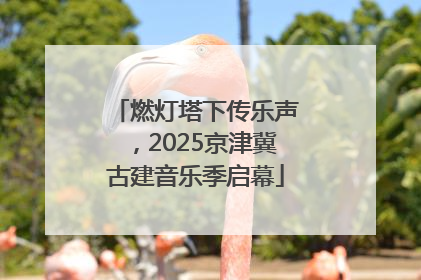 燃灯塔下传乐声，2025京津冀古建音乐季启幕