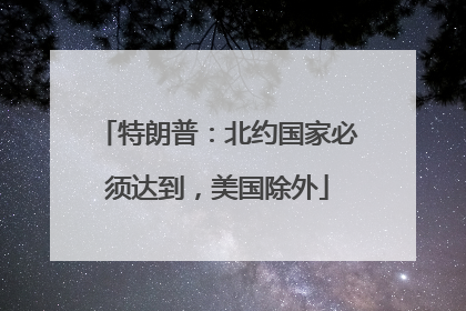 特朗普：北约国家必须达到，美国除外
