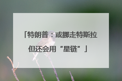 特朗普：或挪走特斯拉 但还会用“星链”