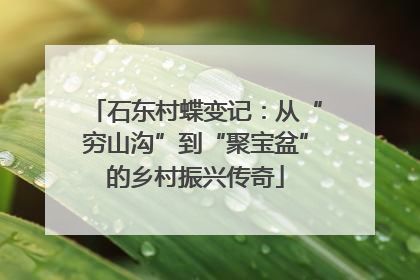 石东村蝶变记：从“穷山沟”到“聚宝盆”的乡村振兴传奇