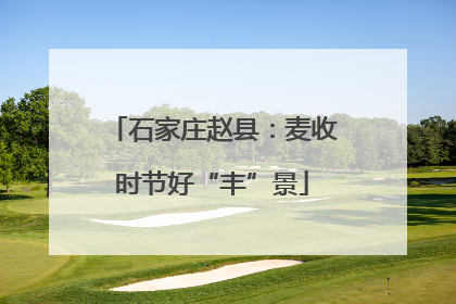 石家庄赵县：麦收时节好“丰”景