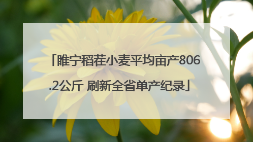 睢宁稻茬小麦平均亩产806.2公斤 刷新全省单产纪录