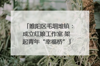 睢阳区毛堌堆镇：成立红娘工作室 架起青年“幸福桥”