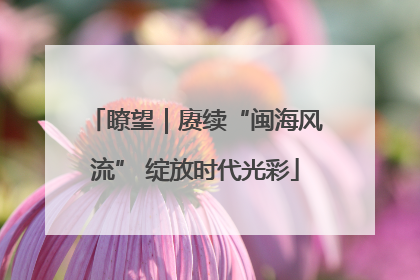 瞭望｜赓续“闽海风流” 绽放时代光彩