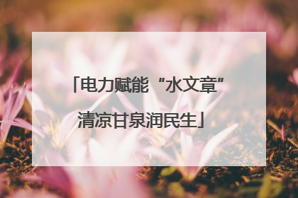 电力赋能“水文章” 清凉甘泉润民生