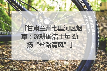 甘肃兰州七里河区烟草：深耕廉洁土壤 劲扬“丝路清风”