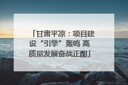 甘肃平凉：项目建设“引擎”轰鸣 高质量发展奋战正酣