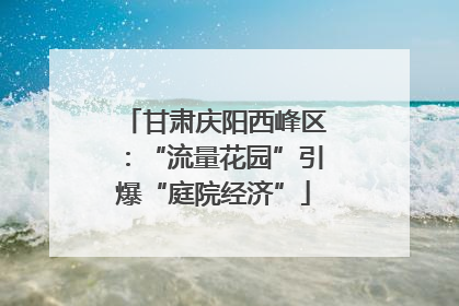 甘肃庆阳西峰区：“流量花园”引爆“庭院经济”