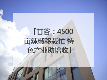 甘谷：4500亩辣椒移栽忙 特色产业助增收