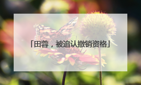 田蓉，被追认撤销资格