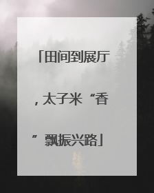 田间到展厅，太子米“香”飘振兴路