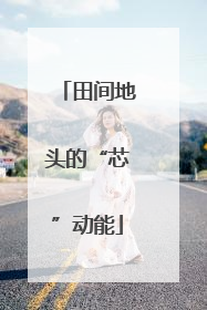 田间地头的“芯”动能
