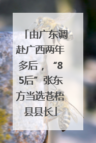 由广东调赴广西两年多后，“85后”张东方当选苍梧县县长
