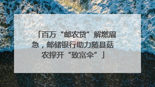 百万“邮农贷”解燃眉急，邮储银行助力随县菇农撑开“致富伞”