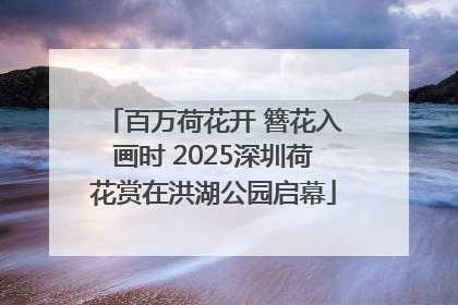 百万荷花开 簪花入画时 2025深圳荷花赏在洪湖公园启幕