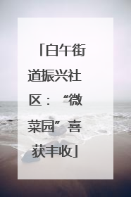 白午街道振兴社区：“微菜园”喜获丰收