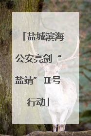 盐城滨海公安亮剑“盐靖”Ⅱ号行动