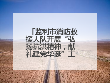 监利市消防救援大队开展“弘扬抗洪精神，献礼建党华诞”主题党日活动