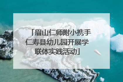 眉山仁师附小携手仁寿县幼儿园开展学联体实践活动