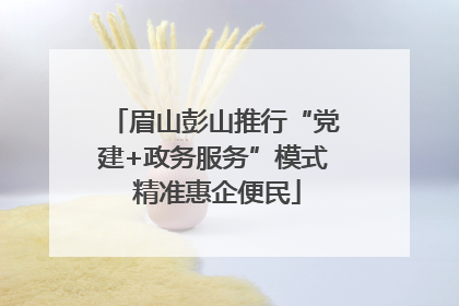 眉山彭山推行“党建+政务服务”模式 精准惠企便民