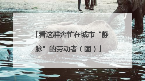 看这群奔忙在城市“静脉”的劳动者（图）