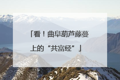 看！曲阜葫芦藤蔓上的“共富经”