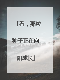看，那粒种子正在向阳成长