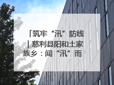 筑牢“汛”防线｜慈利县阳和土家族乡：闻“汛”而动 全员下沉筑牢防汛“安全堤”