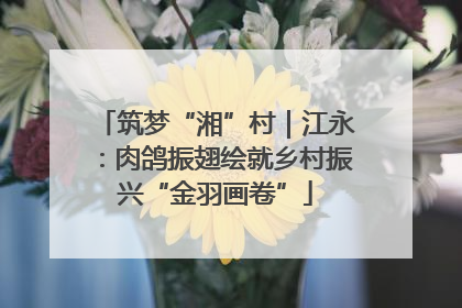 筑梦“湘”村｜江永：肉鸽振翅绘就乡村振兴“金羽画卷”