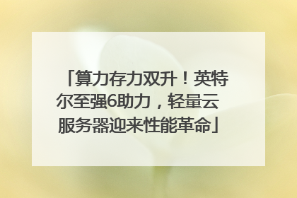 算力存力双升！英特尔至强6助力，轻量云服务器迎来性能革命