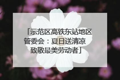 示范区高铁东站地区管委会：夏日送清凉 致敬最美劳动者