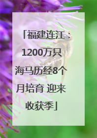 福建连江：1200万只海马历经8个月培育 迎来收获季