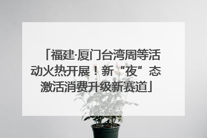 福建·厦门台湾周等活动火热开展！新“夜”态激活消费升级新赛道