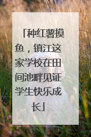 种红薯摸鱼，镇江这家学校在田间池畔见证学生快乐成长