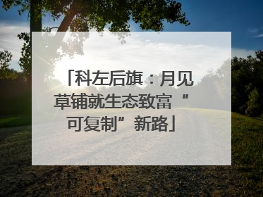 科左后旗：月见草铺就生态致富“可复制”新路