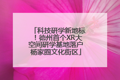科技研学新地标！德州首个XR大空间研学基地落户杨家圈文化街区