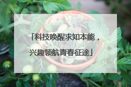 科技唤醒求知本能，兴趣领航青春征途