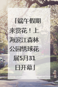 端午假期来赏花！上海滨江森林公园绣球花展5月31日开幕