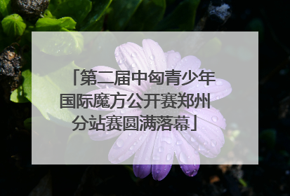 第二届中匈青少年国际魔方公开赛郑州分站赛圆满落幕