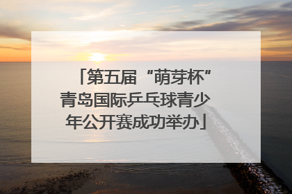 第五届“萌芽杯”青岛国际乒乓球青少年公开赛成功举办