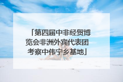第四届中非经贸博览会非洲外宾代表团考察中伟宁乡基地