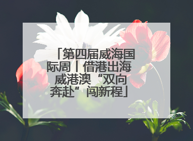 第四届威海国际周丨借港出海 威港澳“双向奔赴”闯新程