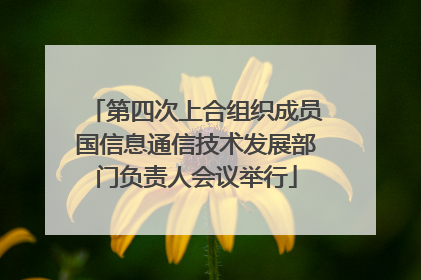 第四次上合组织成员国信息通信技术发展部门负责人会议举行
