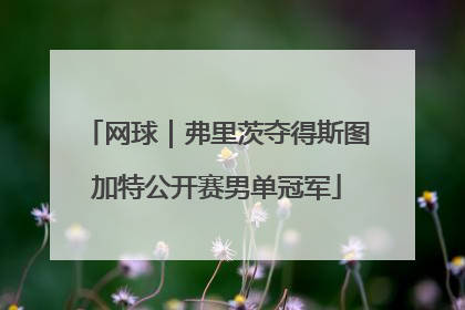网球｜弗里茨夺得斯图加特公开赛男单冠军