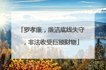 罗孝廉，廉洁底线失守，非法收受巨额财物