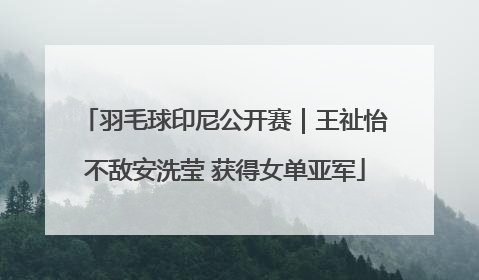 羽毛球印尼公开赛｜王祉怡不敌安洗莹 获得女单亚军