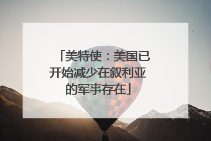 美特使：美国已开始减少在叙利亚的军事存在