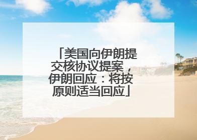 美国向伊朗提交核协议提案，伊朗回应：将按原则适当回应